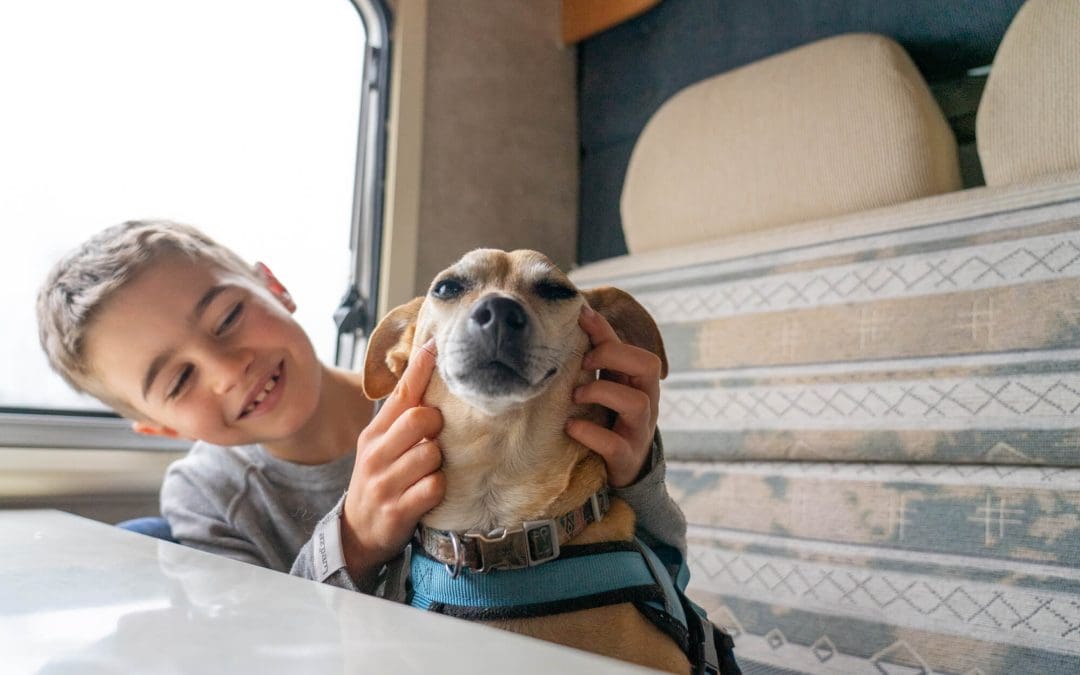 5 RV Cleaning Tips for Traveling With Pets