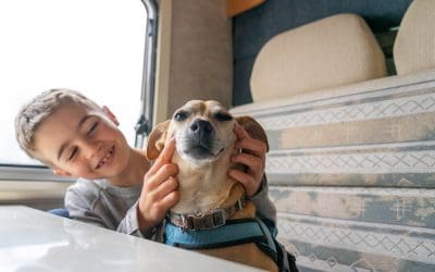 5 RV Cleaning Tips for Traveling With Pets